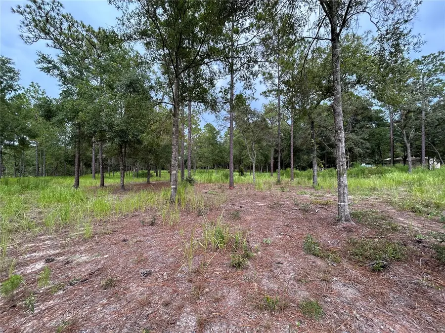 16051 SW 44 Street, Ocala, FL 34481 - Image #3