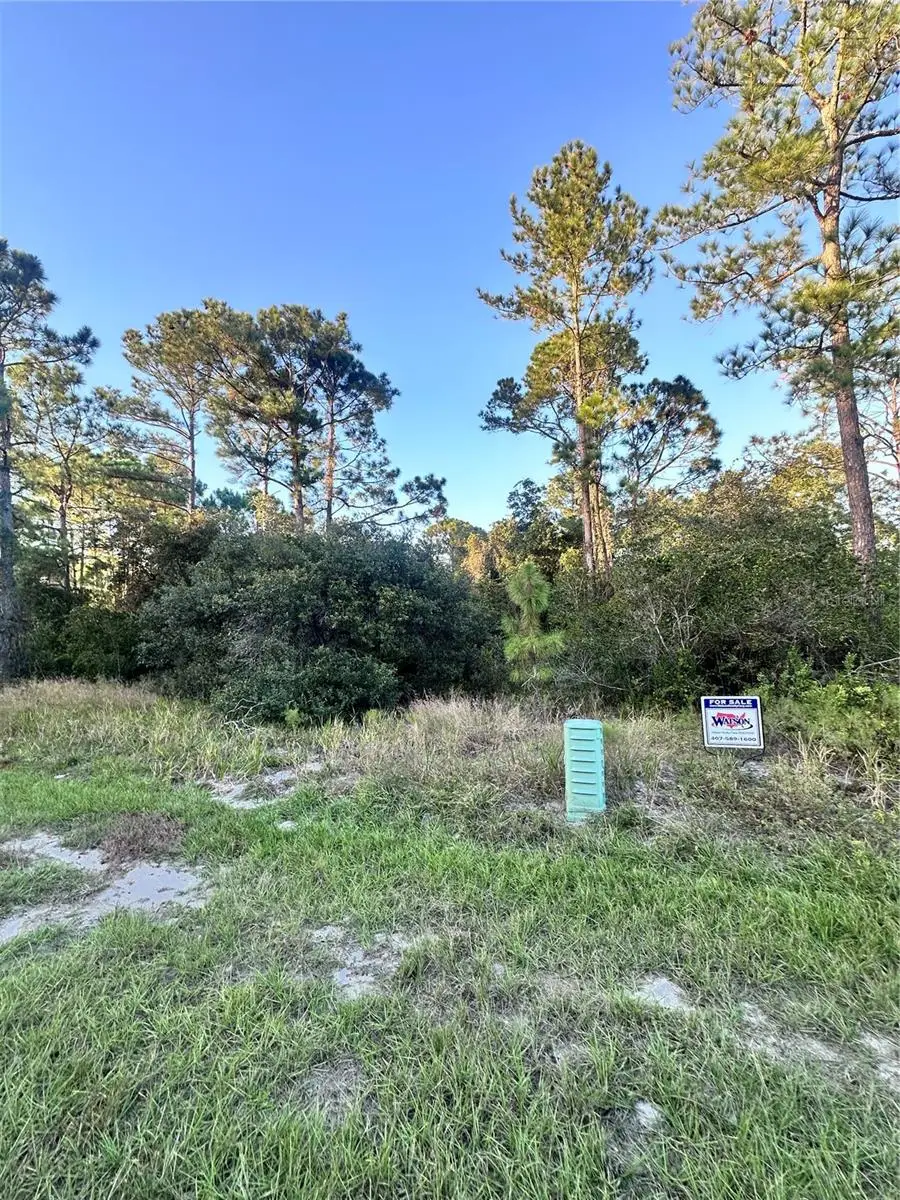 1566 Marlin Drive, Poinciana, FL 34759 - Image #3