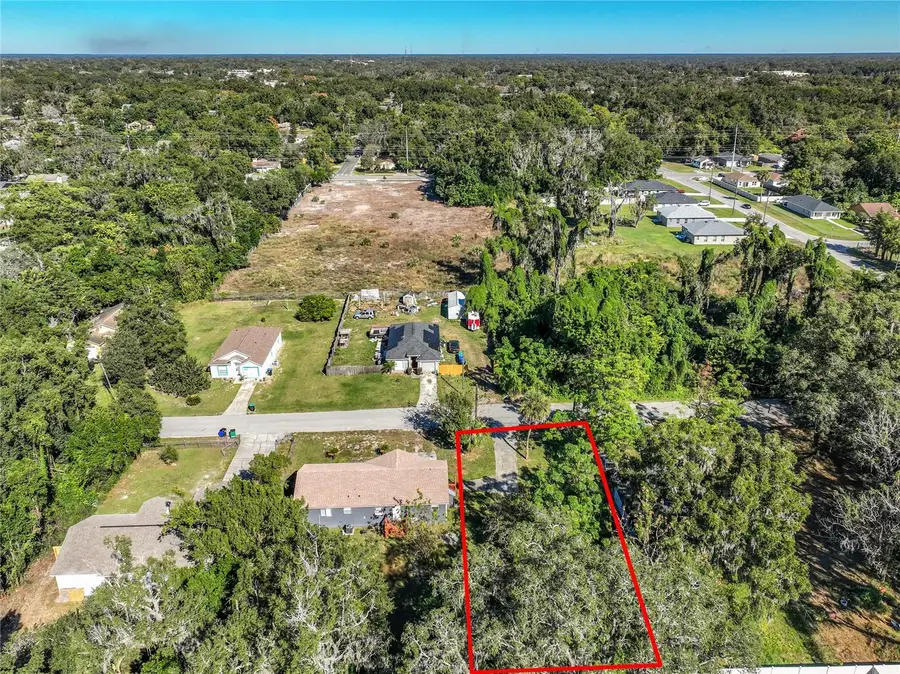 224 E 15th Street, Apopka, FL 32703 - Image #3