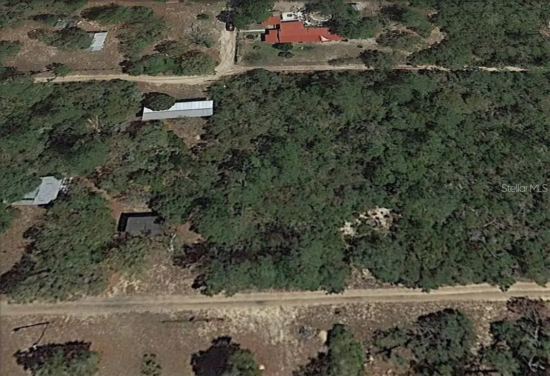 NE 154th Terrace, Fort McCoy, FL 32134 - Image #1