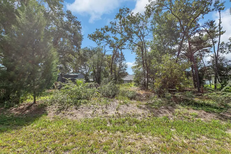 SE 150th Street, Summerfield, FL 34491 - Image #2