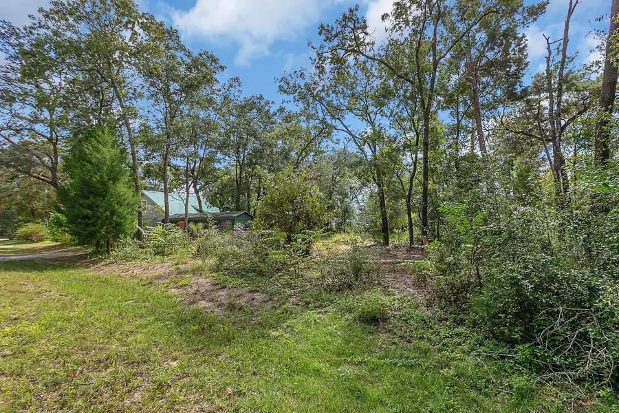 SE 150th Street, Summerfield, FL 34491 - Image #3