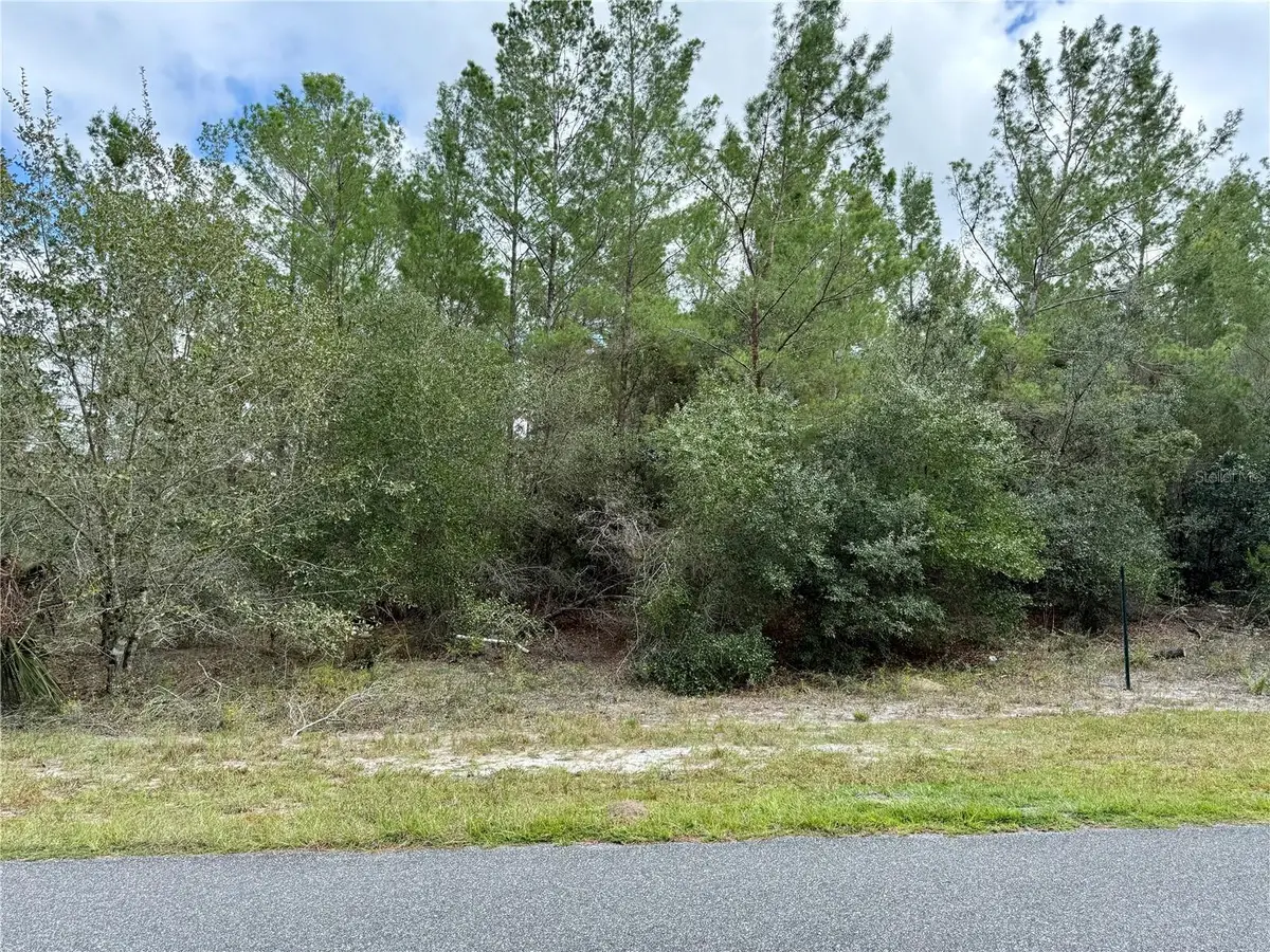 Jericho Trail, Eustis, FL 32736 - Image #1
