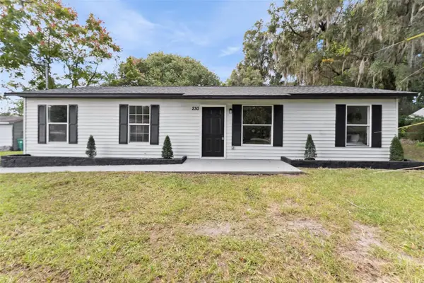230 S Chandler Avenue, DELAND, FL 32724