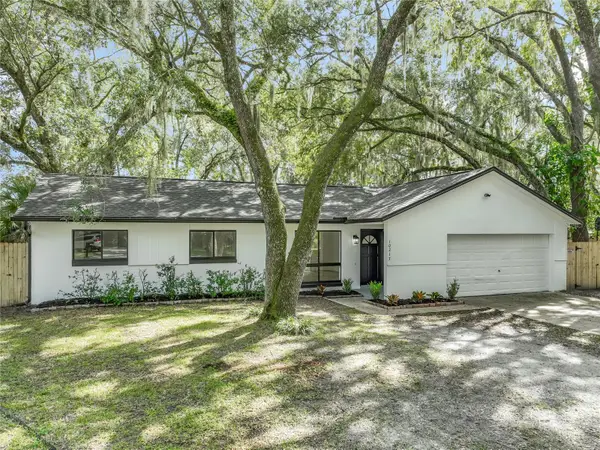 10217 Belgrove Place, ORLANDO, FL 32817