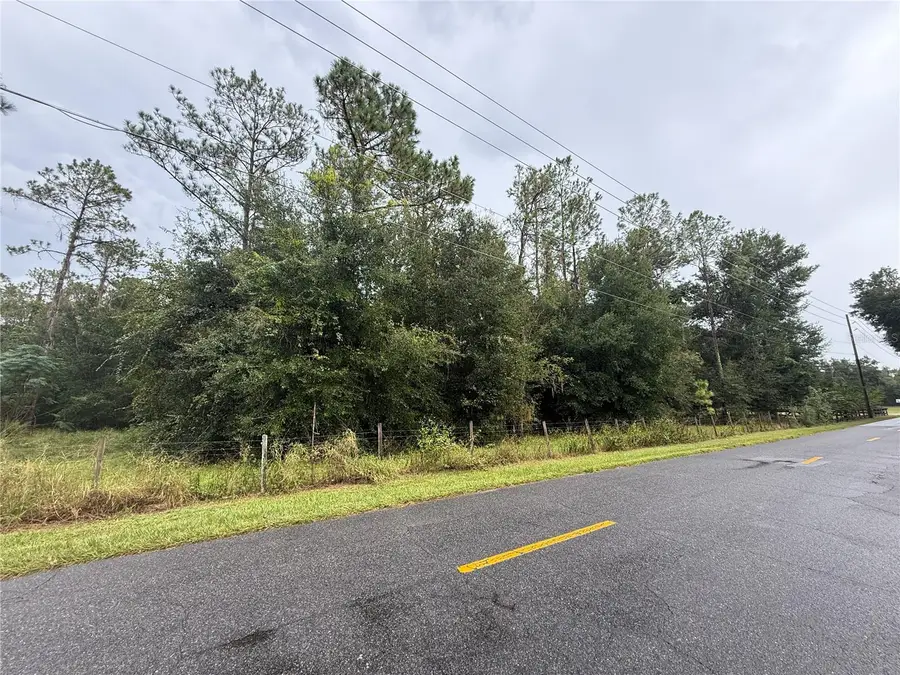 32742 Whitney Road, Leesburg, FL 34748 - Image #3