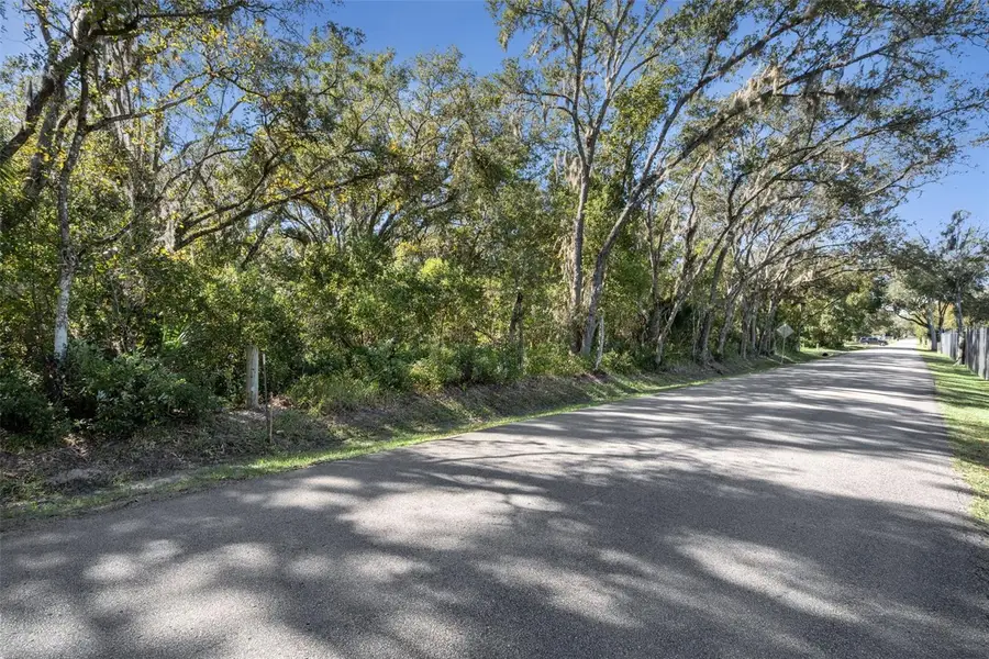 Faye Street, Apopka, FL 32712 - Image #3