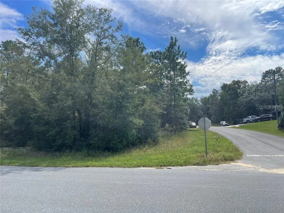 11083 N Tigerwood Terrace, Citrus Springs, FL 34434 - Image #1