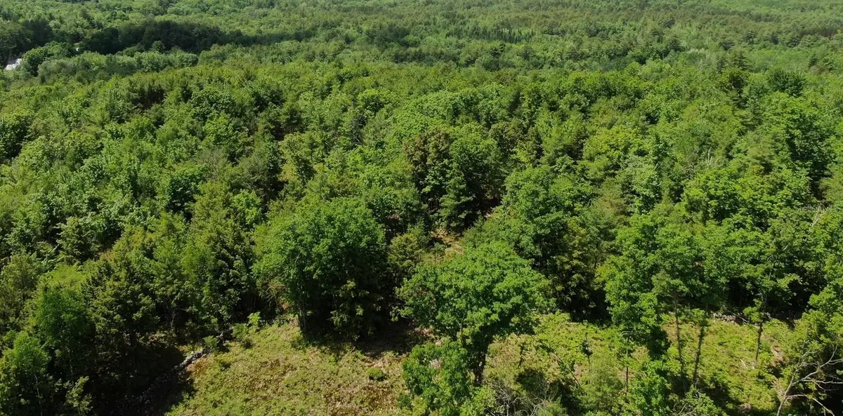 SW 712th Avenue, Horseshoe Beach, FL 32648 - Image #1