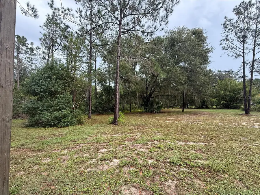 Lewis Court, Leesburg, FL 34748 - Image #2