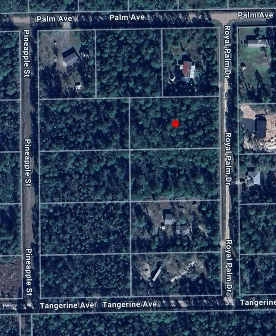 2858 Royal Palm Drive, Bunnell, FL 32110 - Image #2