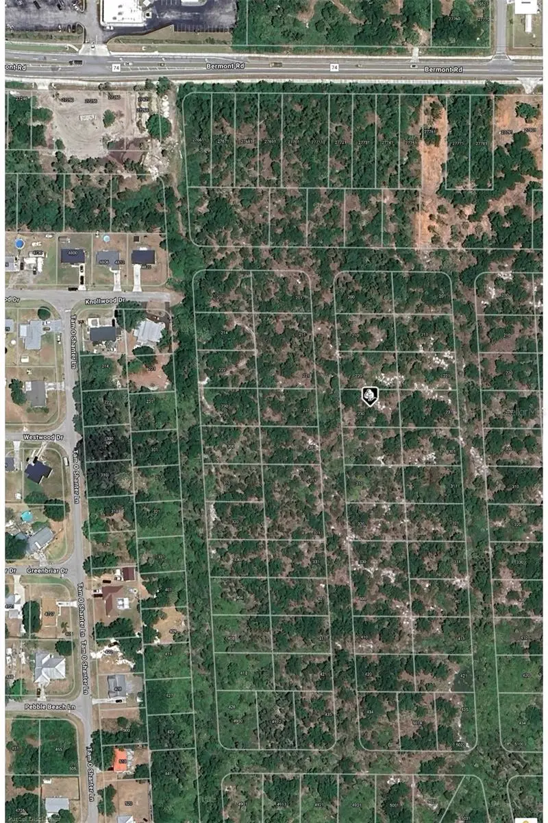 230 N Yellowtail Lane, Punta Gorda, FL 33982 - Image #3