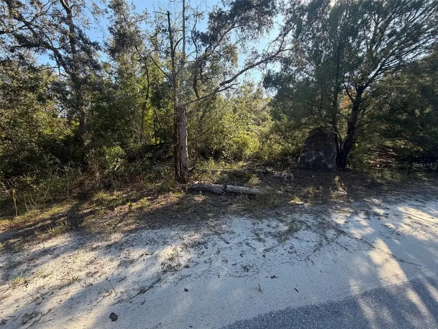 7360 W Chassahowitzka Street, Homosassa, FL 34448 - Image #3
