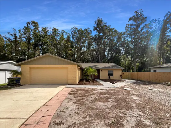 16409 Lake Byrd Drive, TAMPA, FL 33618