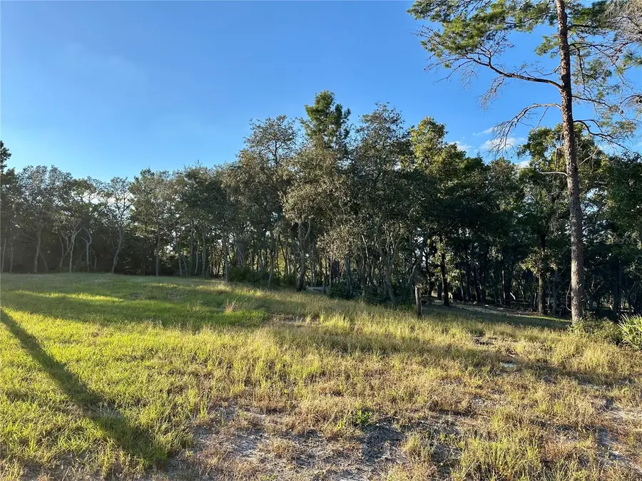 401 Dumbarton Avenue, Pomona Park, FL 32181 - Image #3