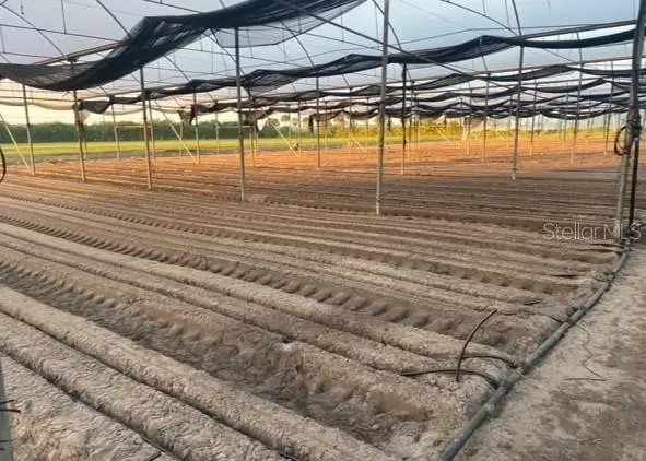 6150 Pringle Lane, Immokalee, FL 34142 - Image #1