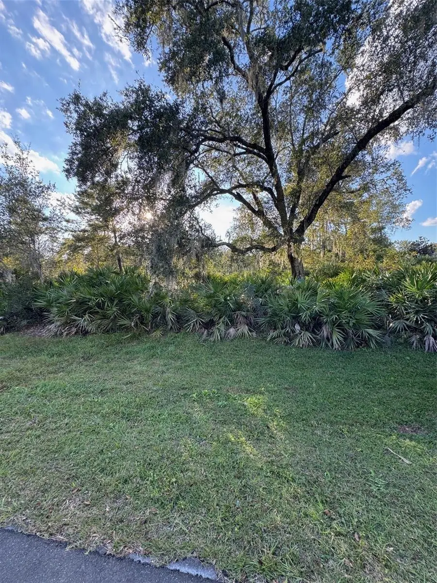 7th Avenue, Deland, FL 32724 - Image #1