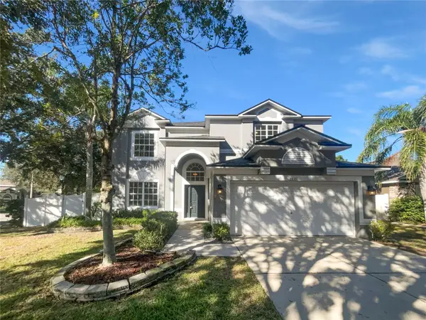 2613 Queen Alberta Drive, VALRICO, FL 33596