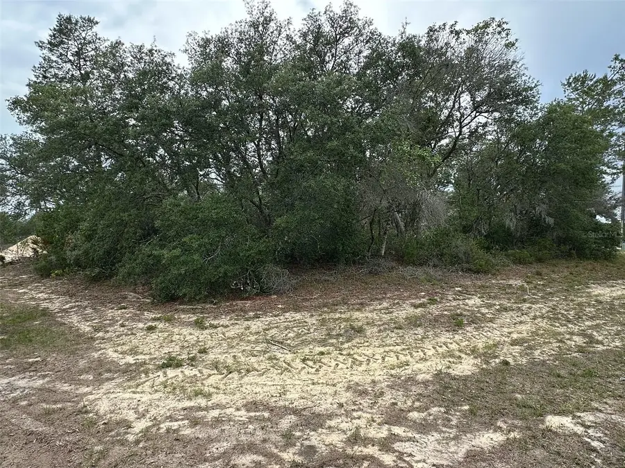 SW 168th Loop, Ocala, FL 34473 - Image #2
