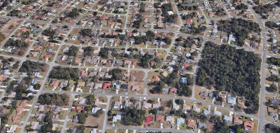 11323 Libby Road, Spring Hill, FL 34609 - Image #3