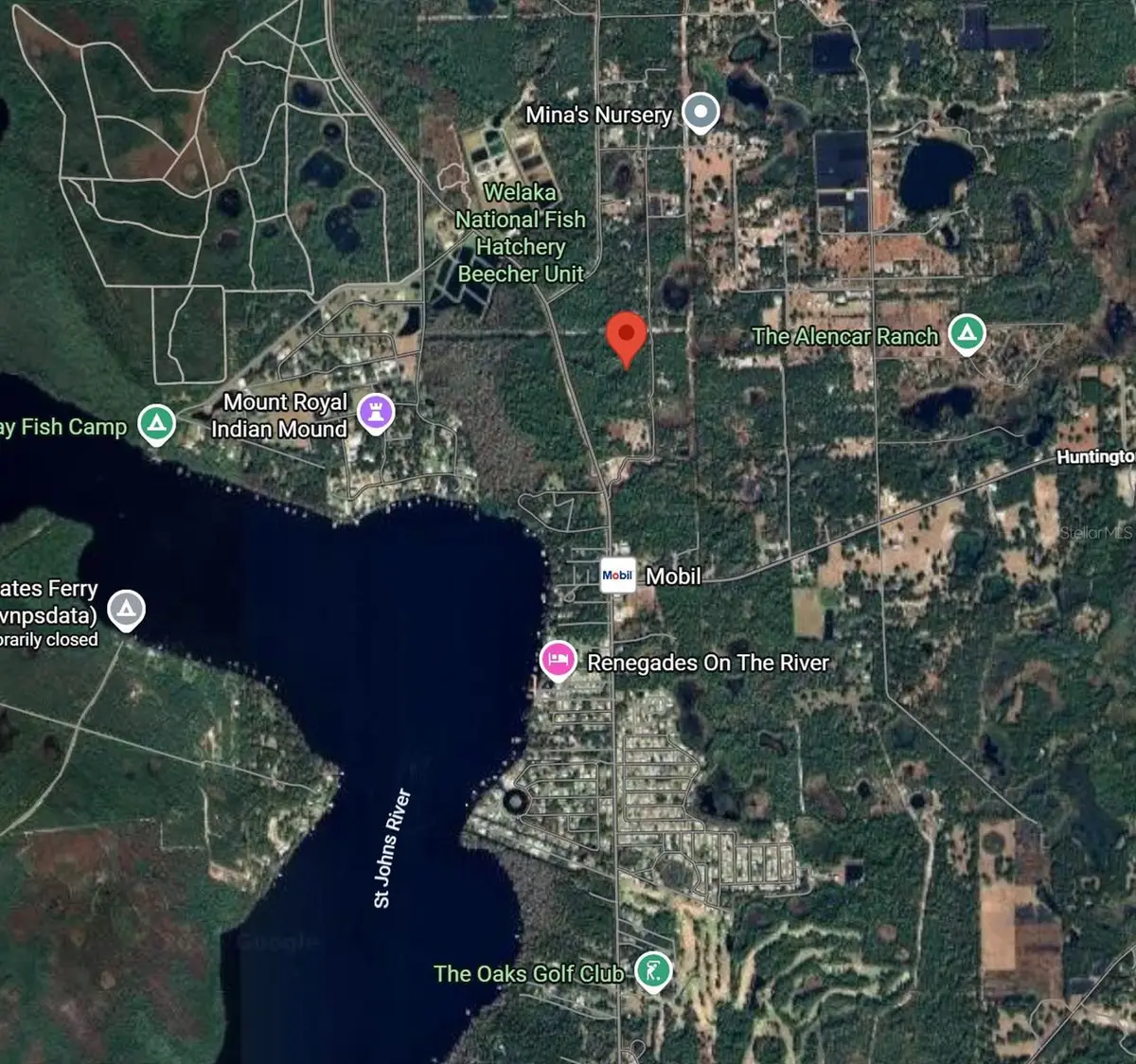 175 Oak Run Road, Crescent City, FL 32112 - Image #1