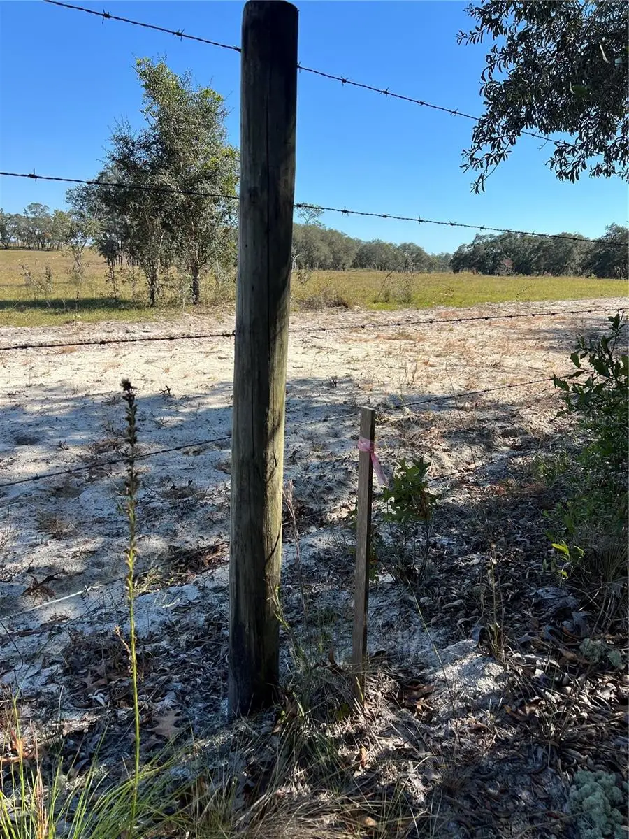 SW 121 Terrace Road, Dunnellon, FL 34432 - Image #3