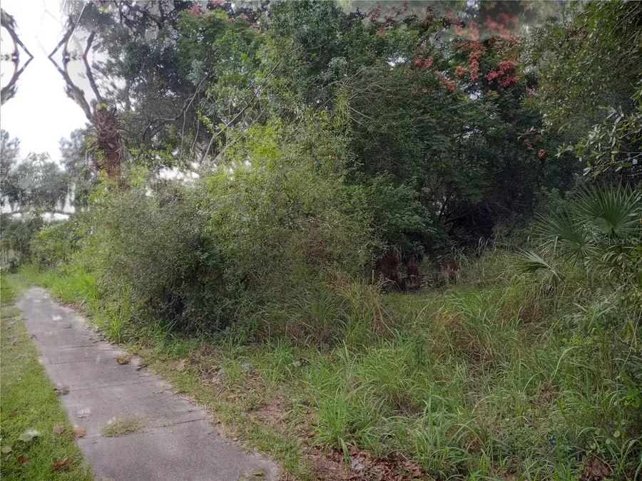 Carver Street, Mims, FL 32754 - Image #3