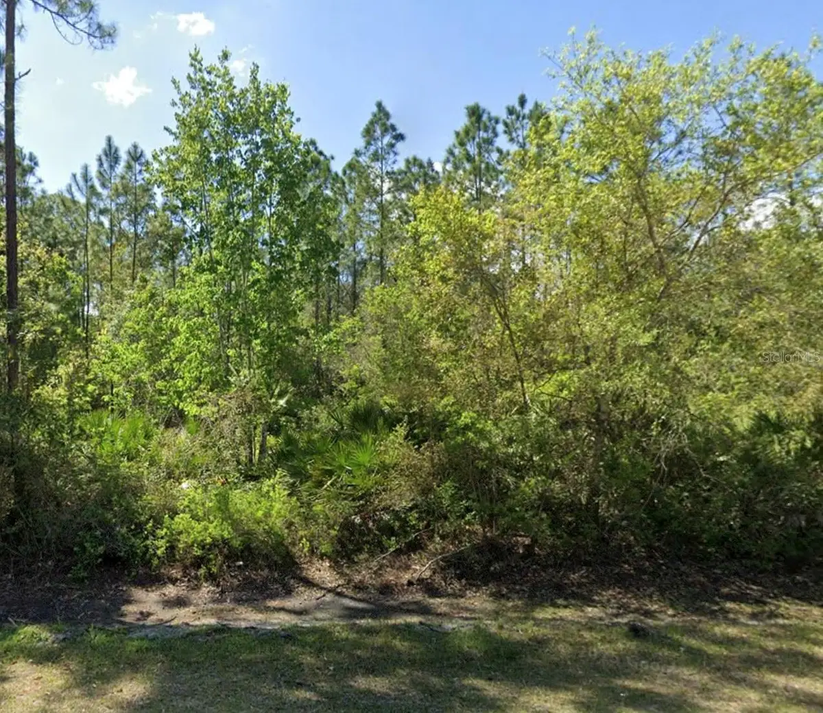 Candleberry Street, Bunnell, FL 32110 - Image #1