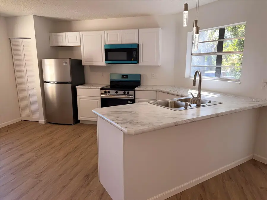 201 Fernwood Street, Leesburg, FL 34748 - Image #2