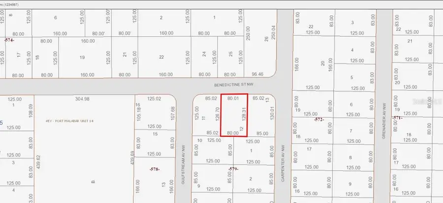 1018 Benedictine Street Nw, Palm Bay, FL 32907 - #2