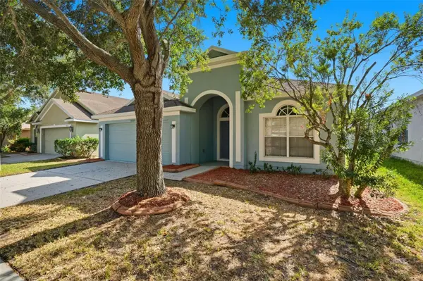 10209 Tapestry Key Court, RIVERVIEW, FL 33578