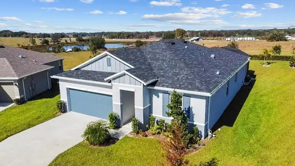 1688 Littleleaf Boxwood Loop, MASCOTTE, FL 34753