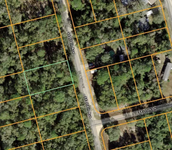 SE 175 Avenue, SILVER SPRINGS, FL 34488