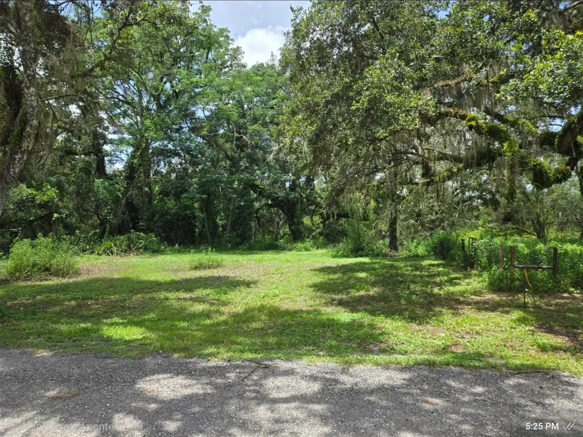 0 Dublin Road, Ridge Manor, FL 33523 - Image #1
