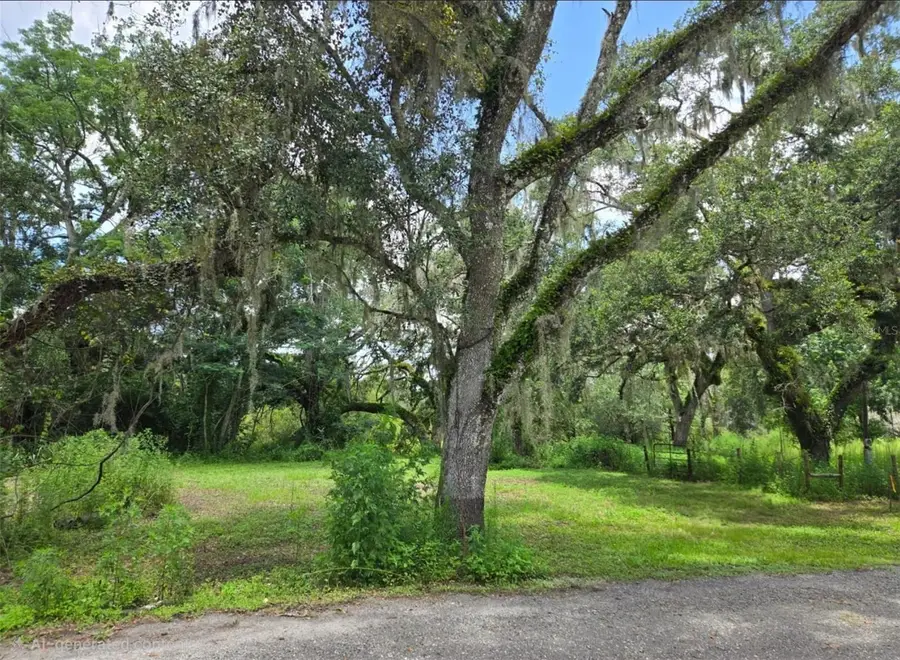 0 Dublin Road, Ridge Manor, FL 33523 - Image #2