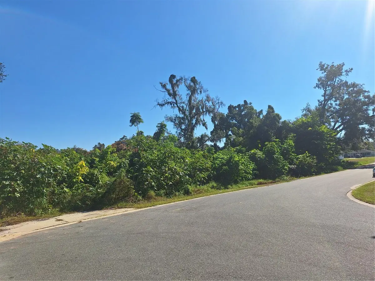 335 E 12th Street, Apopka, FL 32703 - Image #1