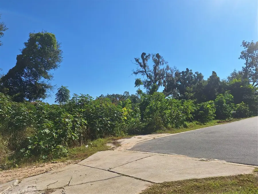 335 E 12th Street, Apopka, FL 32703 - Image #3