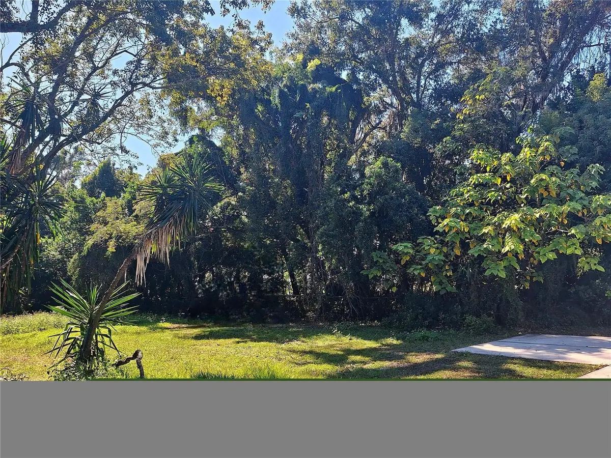 203 E 13th Street, Apopka, FL 32703 - Image #1