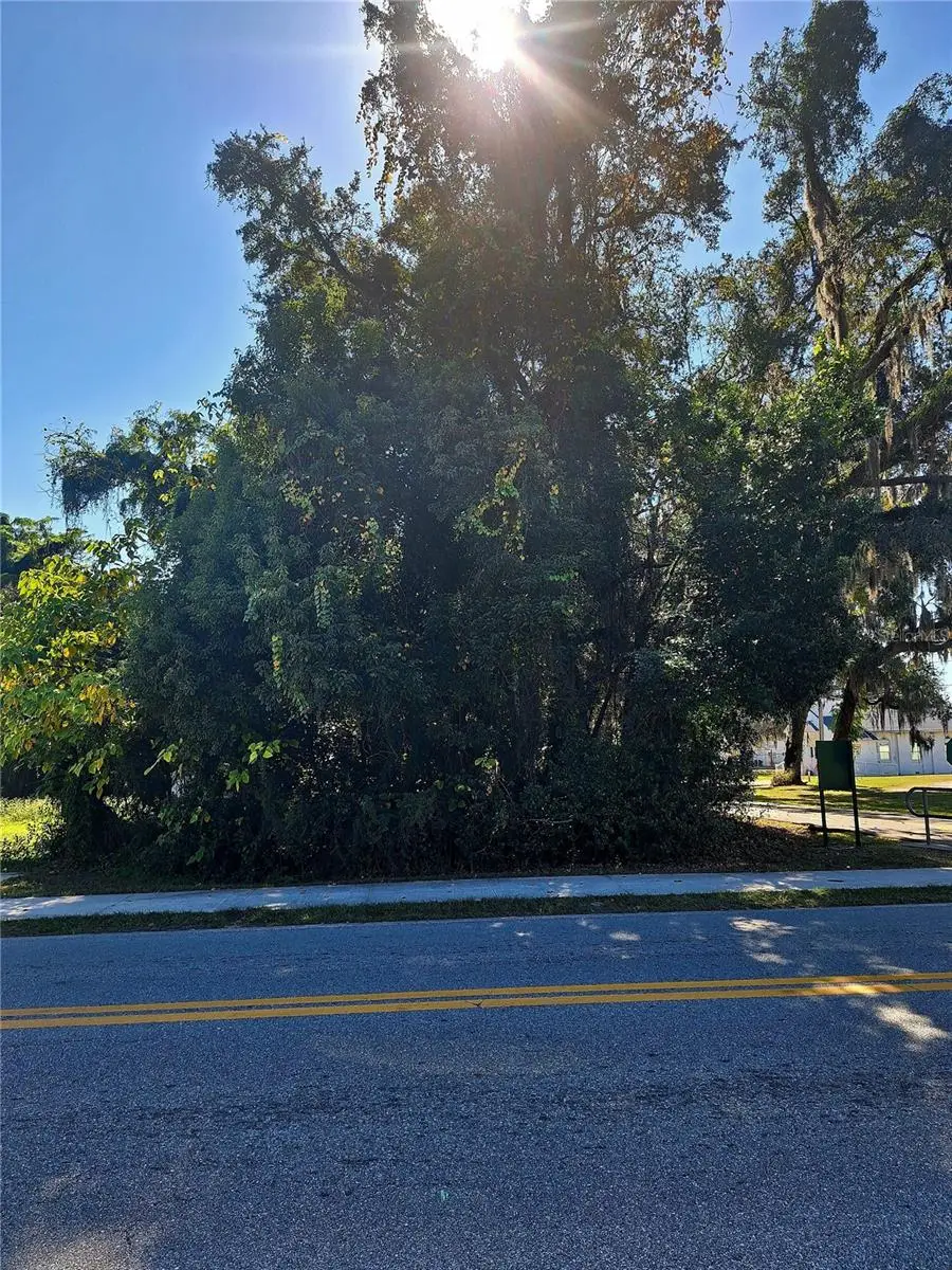 203 E 13th Street, Apopka, FL 32703 - Image #2