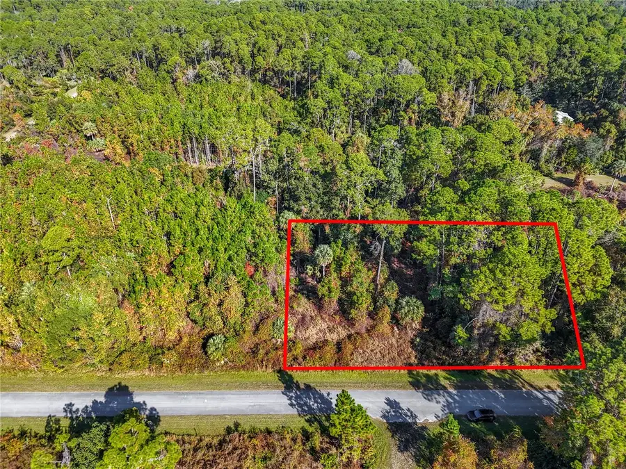 810 Paradise Boulevard, Georgetown, FL 32139 - Image #2