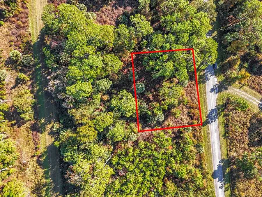 810 Paradise Boulevard, Georgetown, FL 32139 - Image #3