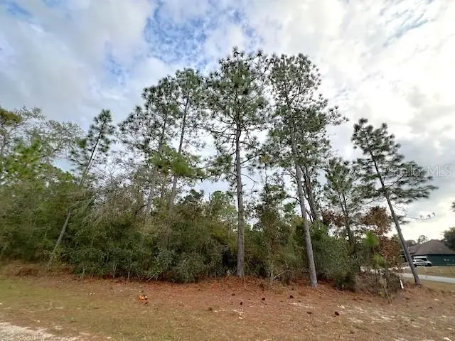 3154 W Bedford Lane, Dunnellon, FL 34433 - Image #2