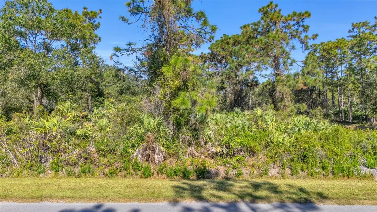 Quinlan Street, Orlando, FL 32833 - Image #1