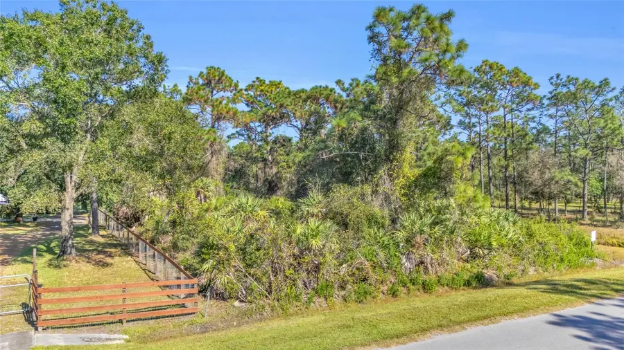 Quinlan Street, Orlando, FL 32833 - Image #2