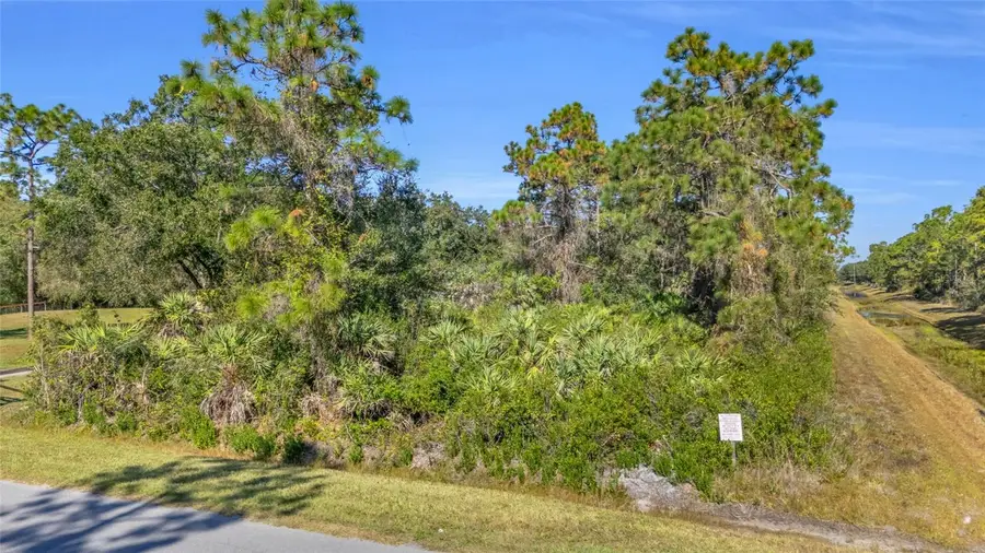 Quinlan Street, Orlando, FL 32833 - Image #3