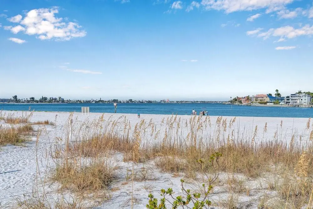 800 Collany Road #302, Saint Petersburg, FL 33715 - Image #1