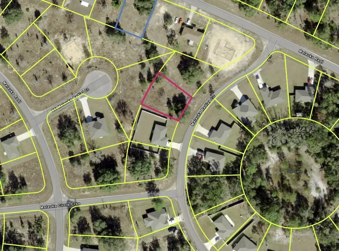 0 Malauka Radial Cir, Ocklawaha, FL 32179 - Image #1