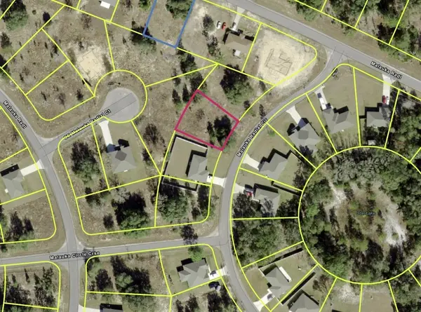 0 Malauka Radial Cir, OCKLAWAHA, FL 32179