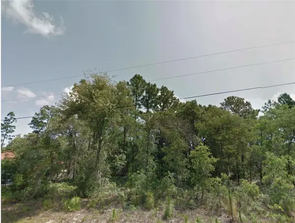 8383 N Manuetta Drive, CITRUS SPRINGS, FL 34434