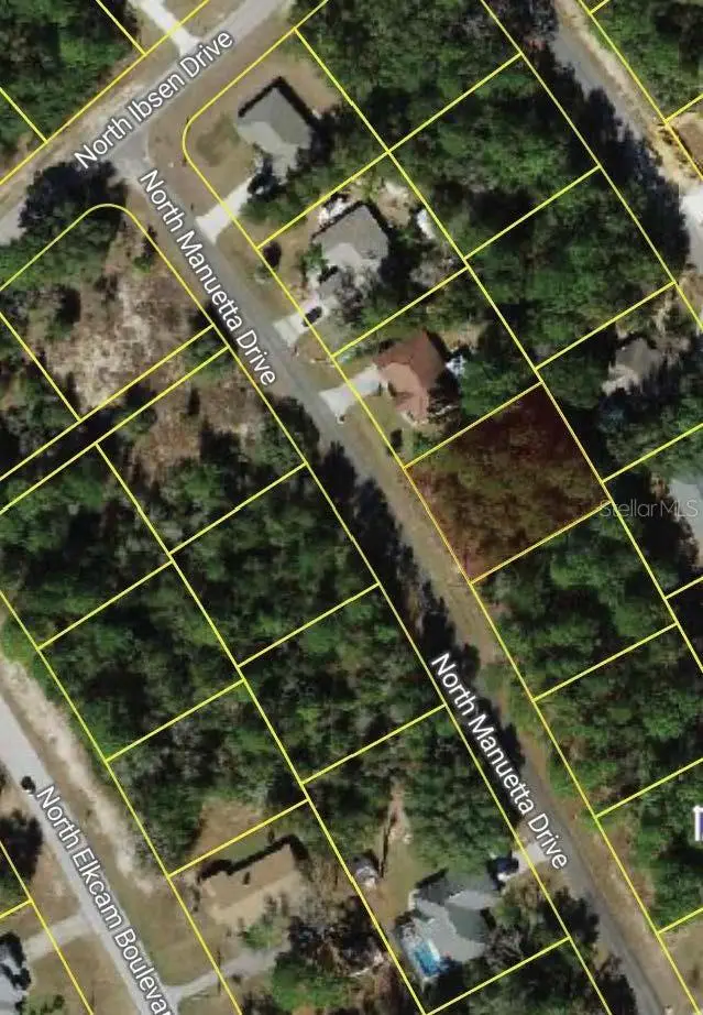 8383 N Manuetta Drive, Citrus Springs, FL 34434 - Image #2